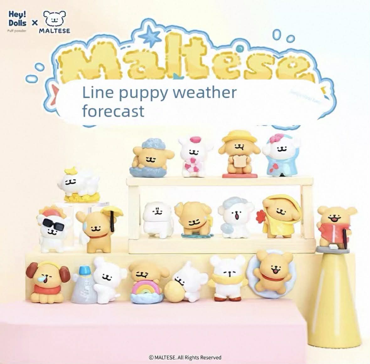 Malteese Puppy Weather Forecast Series Blind bag ( 5pcs/bag)