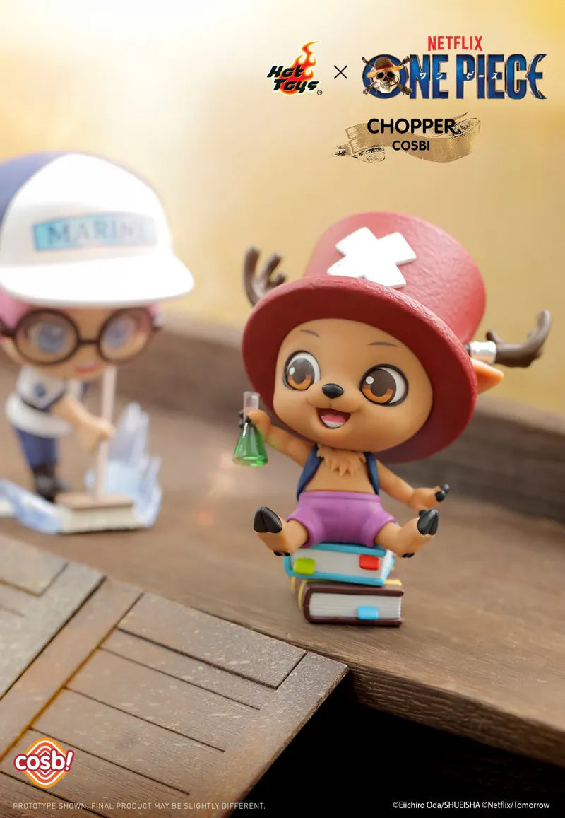 Hot Toys Cosbi One Piece Collection