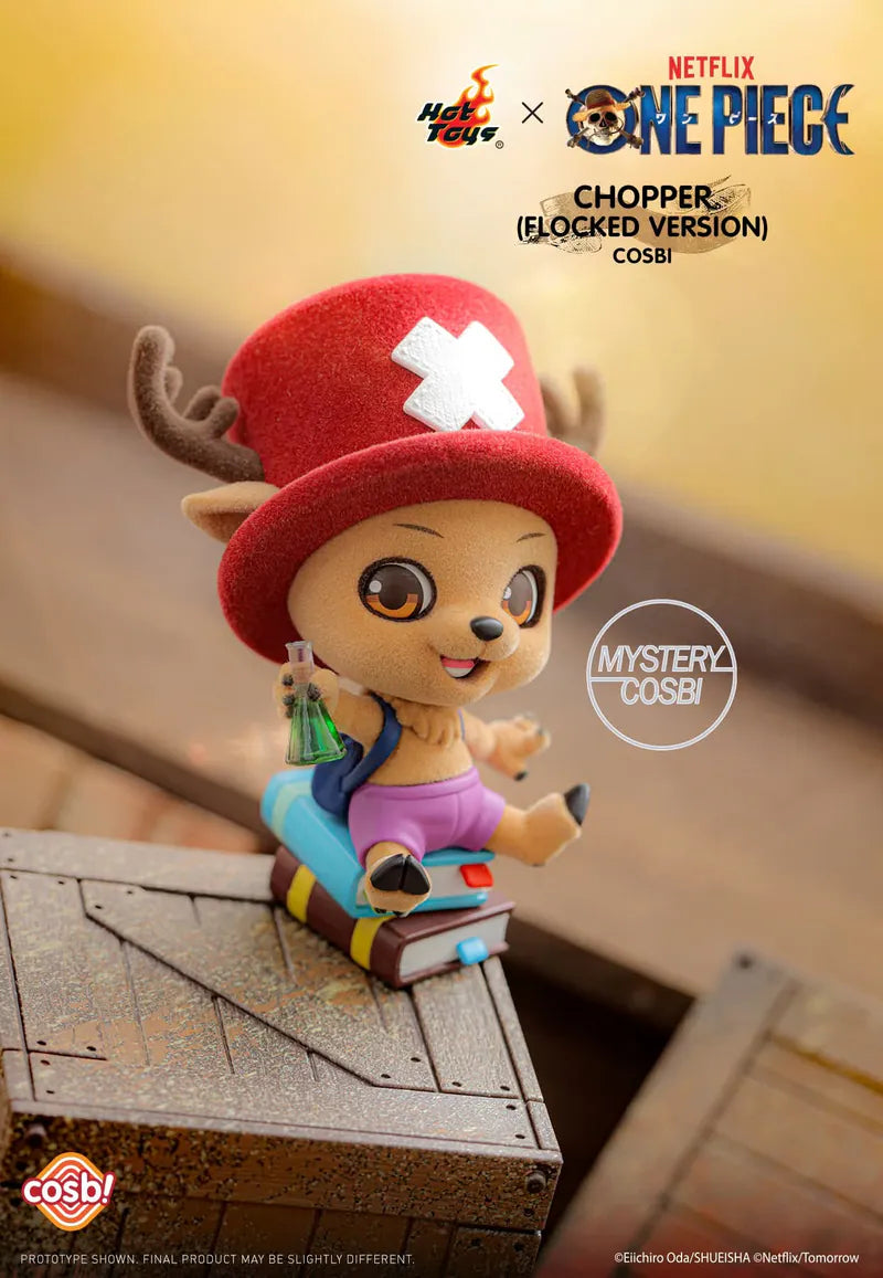 Hot Toys Cosbi One Piece Collection