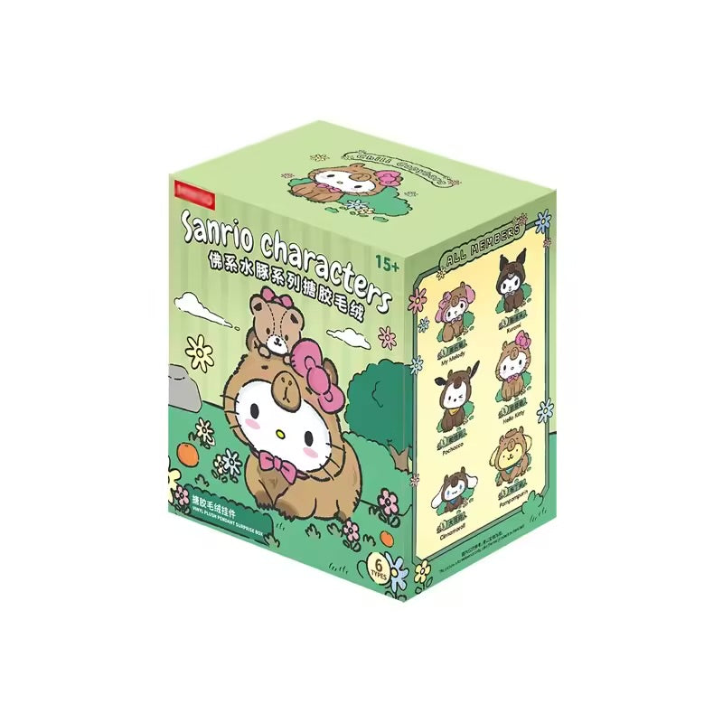 Miniso Sanrio Capybara Blind Box